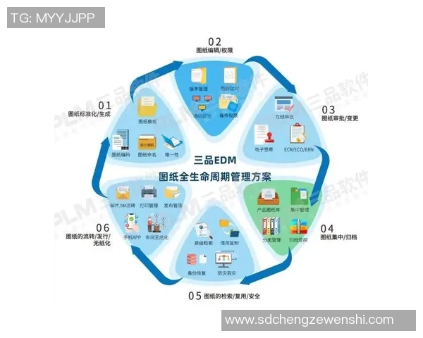 极限运动战术解析：西安极限运动队的防守与反击体系探讨